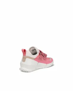 ECCO BIOM K1><noscript><img data-lazyloaded=