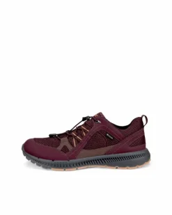 ECCO TERRACRUISE II W> Gore-tex | Outdoor