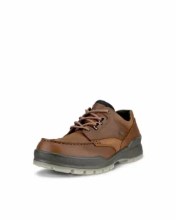 ECCO TRACK 25 M> Gore-tex | Casual